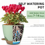Plant Pots 8/7.5/7/6.5/6 Inch Self Watering Pots,5 Pack Planters with Drainage Holes and Saucers,Plastic Flower Pots,Nursery Planters for Indoor Outdoor Plants (Green)