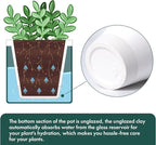 D'vine Dev 4 Inch Design Self Watering Planter for Indoor Plants, White Terracotta Pot with Teal Cylinder Glass Cup, Set of 3,37-Z-A-5-T