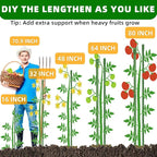 Garden Stakes 16 Inch 70 Pack, Diy 4ft 5ft 6ft 7ft 8ft Tomato Stakes Plastic Coated Metal Plant Sticks Stakes Supports with 40 Connectors 30 Rotatable Clips for Indoor Outdoor Plants Vegetable