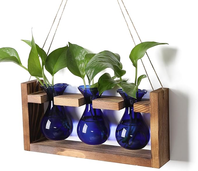 Terrarium Propagation Station, 3 Blue Borosilicate Glass Bulbs, Wooden Stand