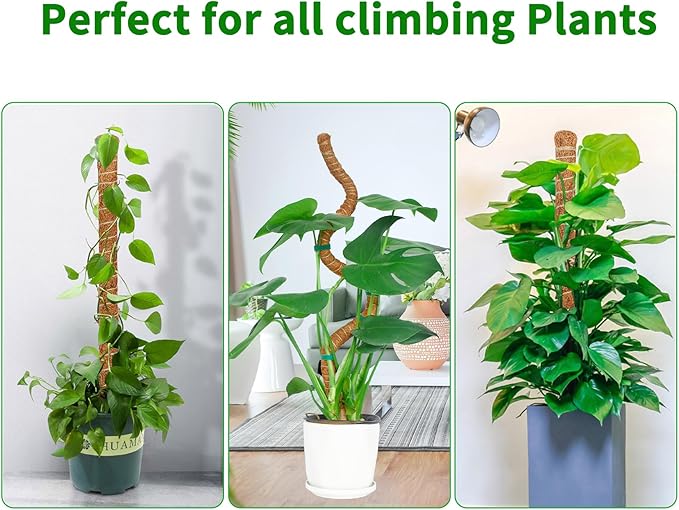 2 Pack 39 Inch Moss Pole Monstera Plant Support, Coir Moss Poles for Climbing Indoor Plants, Bendable Plant Stake Trellis for Potted Plant, Pothos, Philodendron