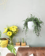 2 Pack Hanging Planters for Indoor Outdoor Plants Modern Metal Plant Hangers, Wall and Ceiling Hanging Plants Baskets Mid Century Minimalist Flower Pots Home Decor (White)