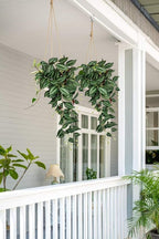 Artificial Wandering Jew Hanging Plant, 2 Pack, 26-Inch Green PVC