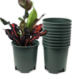 1.5 Gallon Green Nursery Pot Plastic Planters for Outdoor Indoor Plants Gardening Flower Pots 10-Pack 7.5 in Pot Liners with Drainage Holes