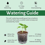18 Pack 6.5/5/4 Inch Clear Self Watering Plant Pots with Bottom Water Tray & Watering Rope, Transparent Nursery Pots with Drainage for Seedlings, Herbs, and Houseplants