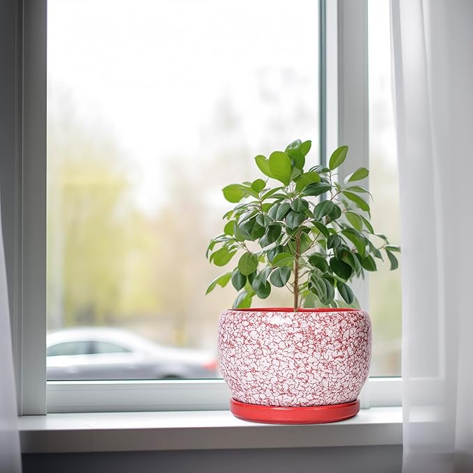 SQOWL Ceramic Pots for Plants - 8 inch Indoor Planter with Drainage Hole and Tray, Ceramic Flower Pot Outdoor, Round Decorative Planter, Bedroom Decor, Gifts for Plant Lovers, Red and White