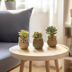 Planter Pots Mini Ceramic Owl Design, 12 Pack with Drainage Holes