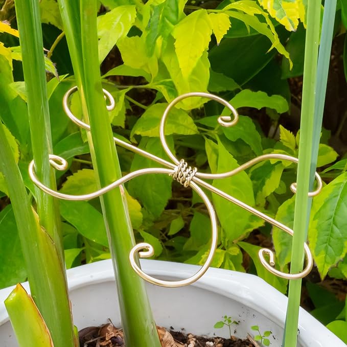 Durable Monstera Plant Support Hooks 5.5in - 5-Piece Set for Indoor Plant Stabilization, Easy-to-Use Grapple Holders for Monstera and Turtle Shell Plants for Plant Lovers