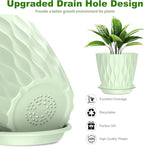 6 Pack 6 Inch Indoor Plant Pots with Drainage Holes, Outdoor Plastic Decorative Flower Pots, Garden Planters with Tray Saucers for Orchids, Violets, Succulents, Herbs, and Other Plants