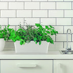 Skelang 3 Pcs Rectangular Plant Pot, 12" Flower Planter Box, Windowsill Container for Succulent, Herb, Vegetable (White)