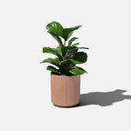 Veradek Demi Series Round Planter for Porch, Patio, Backyard | Durable Plastic-Stone Composite Material | Modern Décor for Tall Plants, Flowers