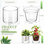 Baderke 2 Pcs 4 Inch Self Watering Pot for Indoor Plants Clear Glass Planter Small Plant Pot with Saucer Reservoir Drainage Holes Bottom Watering Pot for African Violet Orchid Flowers Houseplant