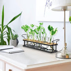 Terrarium Propagation Station with 5 Glass Jars and Black Metal Stand