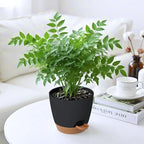 6-Pack Plant Pots with Drainage 7 Inch, Self Watering Pots for Indoor Plants, Planters for Indoor Outdoor Plants, Plastic Flower Pot, Planter for Indoor Outdoor (Black)