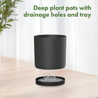12/10/8 inch Large Deep Plant Pots, 3 Pack Tall Cylinder Flower Pots for Outdoor Indoor Plants, Plastic Planters with Drainage Holes and Saucers for Garden Porch House Plants, Black