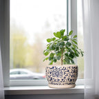 SQOWL Ceramic Planters for Indoor Plants - 8 inch Plant Pot with Drainage Hole and Saucer, Decorative Flower Pot Outdoor, Porcelain Round Planter, Living Room Decor, Gardening Gifts, Blue and Beige