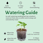 20 Pack 5 Inch Clear Self Watering Plant Pots with Bottom Water Tray & Watering Rope, Transparent Nursery Pots with Drainage for Seedlings, Herbs, and Houseplants