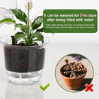 Self Watering Pots, 3 Pack 6.5/5/4 Inch Clear Plant Pot Self Watering Planter Flowers Pot with Deep Reservoir for Indoor Plants (3 Medium)
