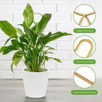 4 Pcs Small Metal Trellis for Potted Plants,Gold Trellis for Climbing Plants Indoor,Small Trellis for Potted Plants Support Stake House Plant Trellis for Garden Potted Plant,Hoya,Pothos,Flower