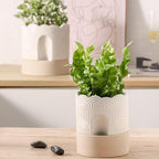Nihow Self Watering Plant Pot for Indoor Plants : 6 Inch & 8 Inch Ceramic Planter with Drainage Hole & Water Storage - Relief Design Beige & Nature Flower Pot -Set of 2