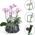 20 Pack Plant Support Stakes with 24 Pcs Plant Clips, Garden Single Stem Support Stake, Plant Cage Support Ring for Indoor Outdoor Flowers Rose Amaryllis Tomatoes Peony Lily Orchid (24 Inch)