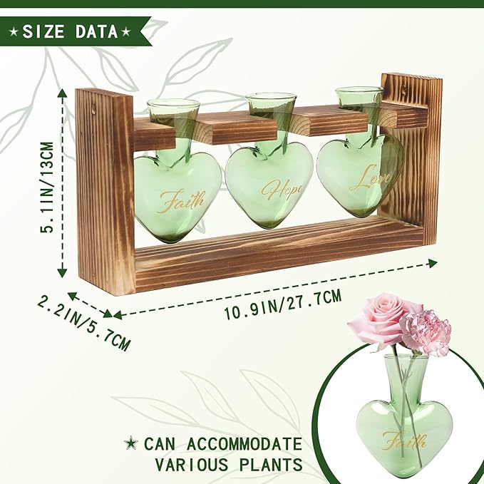 Terrarium Set, Heart Shaped Glass with Wood Stand, 3 Green Vases
