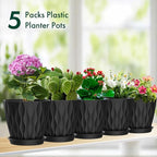 6 inch Plant Pots, 5 Pack Flower Pots for Indoor Outdoor Plants, Water Ripples Plastic Planters with Drainage Holes and Saucers, Nursery Pots for Small Succulent Garden House Plants, Black