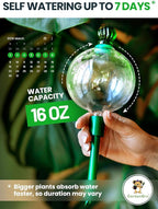 3pcs 16 Oz Plant Watering Globes for Indoor Plants with Metal Self Watering Planter Insert - Premium XL Glass Hand-Blown Globes - Automatic Plant Waterer Indoor, Gift Idea for Gardeners [3 Globes]