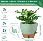 montresor 2 Pack 8 inch Plant Pots, PP Plastic Self Watering Plant Pot with Drainage and Tray for Indoor Outdoor Plants, Water Level Window & Reservoir Flower Pots Decorative Planter (Green)