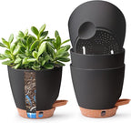 T4U 6 Inch Self Watering Pots for Indoor Plants - Mess-Free Bottom Watering Planter for Herbs/Pothos/Succulent Plants, Indoor Outdoor Use (Black, 4 Pack)