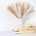 Artificial Pampas Grass Stems, 60 Pcs, Brown and White, 21.7 Inch