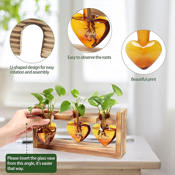 Terrarium Set with Heart-Shaped Glass Vases, Wood Stand, Amber