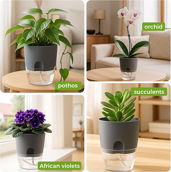 Planterhoma 8 Pack Self Watering Pots for Indoor Plants, 6 Inch Plant Pot Plastic Self Watering Planter for Orchid, African Violet, Small Clear Flower Pots with Drainage Holes and Wicking Rope, Gray