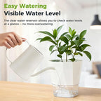 6 Pack Self Watering Pots for Indoor Plants, 8.4 Inches Self Watering Planters Large African Violet Self Watering Clear Pots for Plants Large Herb Orchid Flower Houseplant Pots, White