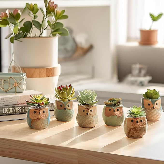Planter Pots Mini Ceramic Owl Design, 12 Pack with Drainage Holes