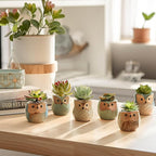 Planter Pots Mini Ceramic Owl Design, 12 Pack with Drainage Holes