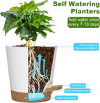 Self Watering Pots, 7/6.5/6/5.5/5/4 inch Flower Pots with Multi Mesh Drainage Holes, Small Platic Planters for Indoor Outdoor Garden Plants and Flowers (Whtie with Brown Tray, 7"+6.5"+6"+5.5"+5"+4")