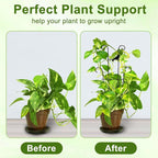 23in Plant Trellis Indoor, Trellis for Potted Plants with Bird, Garden Trellis Climber Support for Climbing Plants Pothos Hoya Vine