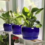 SQOWL Ceramic Planters for Indoor Plants - 6 Inch Plant Pot with Drainage Hole and Saucer, Round Small Planter, Modern Decorative Flower Pot Outdoor, Living Room Decor, Garden Gifts for Women, Blue