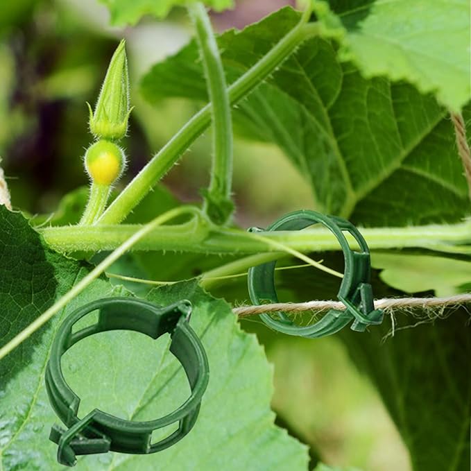 Winmany 100PCS Plant Support Garden Clips Tomato Supports/Connects Plants/Twine/Vines Trellis/Cages Vine Vegetable Fastening Clip Grafting Tools Make Grow Upright and Healthier