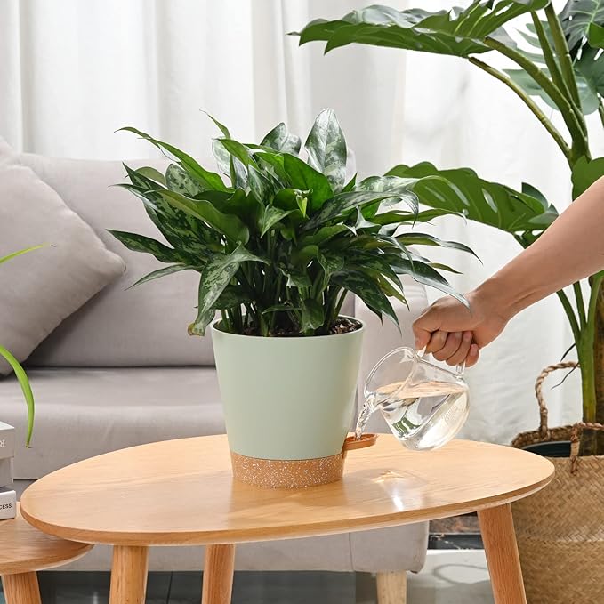 Plant Pots 6 PCS 5 inch Self Watering Planters High Drainage Flowers Pot for Indoor Outdoor Plants with Reservoir Tray and Watering Lip Gardening Planter Garden Flower Pots, Green