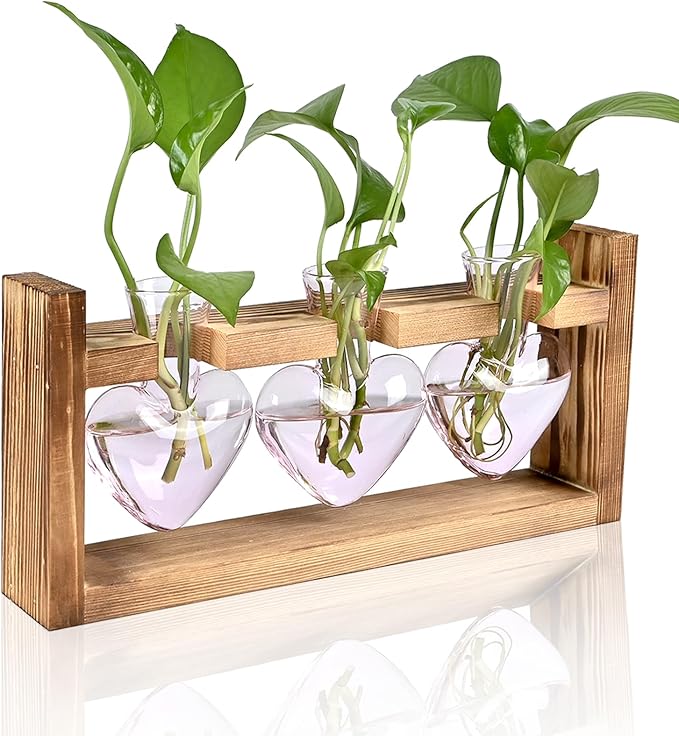 Terrarium Set, Pink Heart Glass Vases with Wood Stand (3 Pieces)