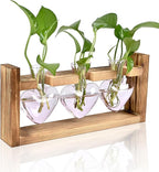 Terrarium Set, Pink Heart Glass Vases with Wood Stand (3 Pieces)