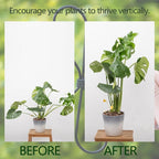 Monstera Plant Stem Support 5 Pcs - 7.5” Indoor Plant Stabilizer Holder for Monstera & Climbing Plants - Durable, Lightweight, Easy to Use for Optimal Growth & Stability - Home Décor Friendly