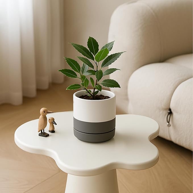 Planters, 4-Pack Modern Ceramic Pots with Drainage Holes and Saucers
