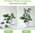 Plant Trellis for Potted Plants 2p, Larger 23in Garden Trellis for Climbing Plants Indoor Outdoor, Rustproof House Plant Support Stakes for Pothos Hoya Ivy Flower