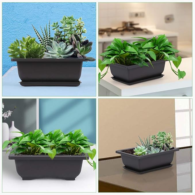 Bonsai Training Pots, 6-Pack, 6.5 Inch Black Plastic with Drainage