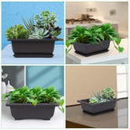 Bonsai Training Pots, 6-Pack, 6.5 Inch Black Plastic with Drainage