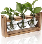 Terrarium Set with 3 Heart Shaped Glass Vases and Wood Stand