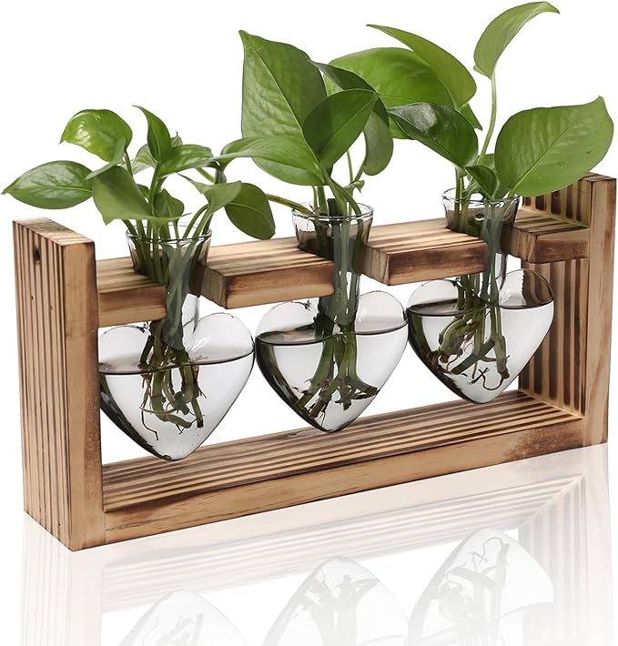 Terrarium Set with 3 Heart Shaped Glass Vases and Wood Stand